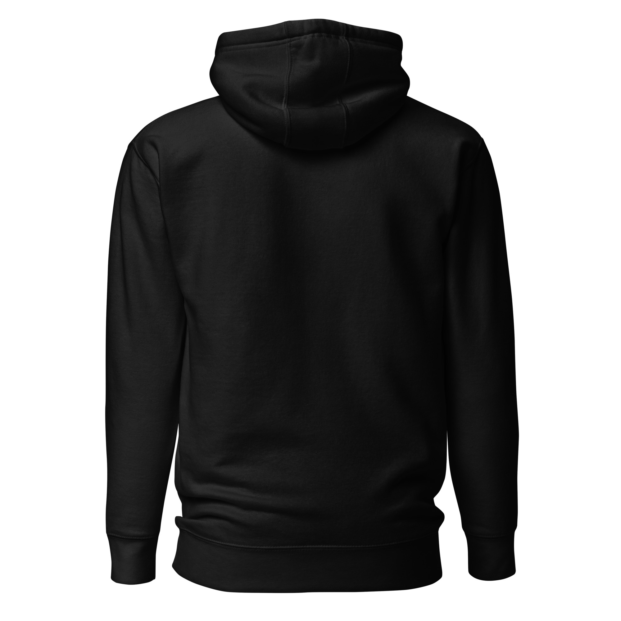 unisex-premium-hoodie-black-back-6634e866da8c1.jpg